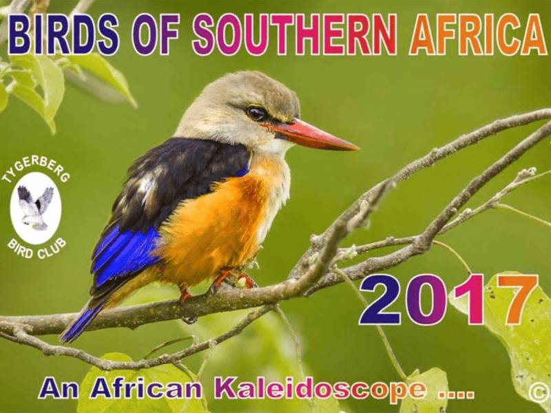 Order the 2017 Birding Calendar - Tygerberg Bird Club