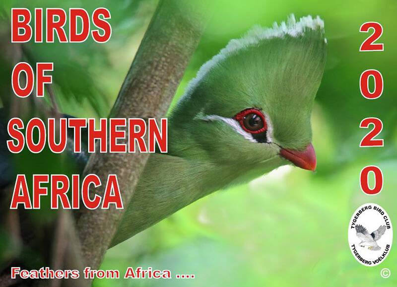 2020 Calendar Birds of Southern Africa